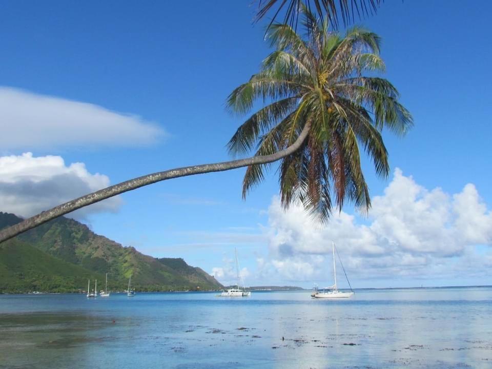 Beach De Reve De Moorea Hauru 외부 사진