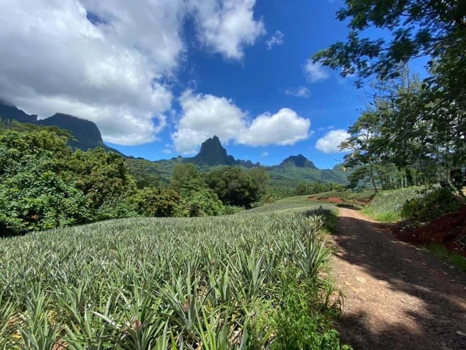 Beach De Reve De Moorea Hauru 외부 사진