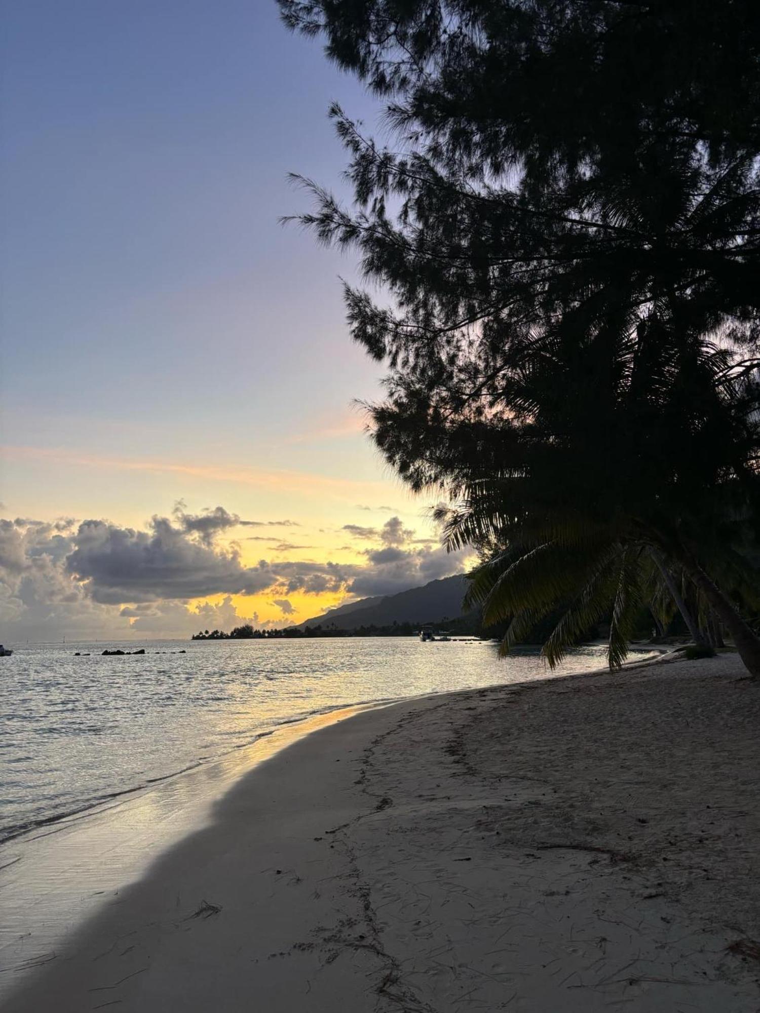 Beach De Reve De Moorea Hauru 외부 사진